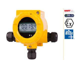 Smart temperature transmitter