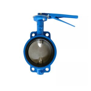 Butterfly valve - Van bướm